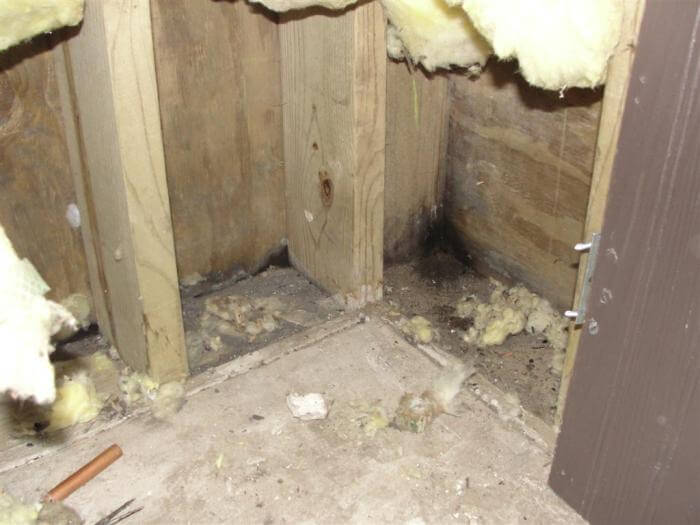 Wet Wood Foundation 1