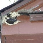 Hockey puck fascia repair