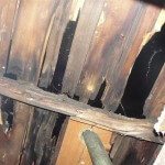 Rotted Roof Decking