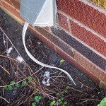 Cable through dryer duct
