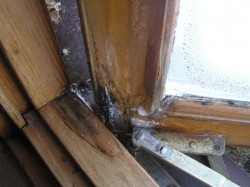 Condensation Staining at window