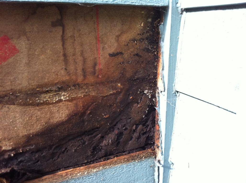 Rotted wall sheathing