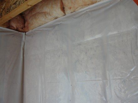 Mold in fiberglass batts