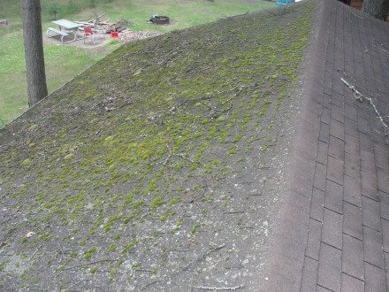 Mossy roof before