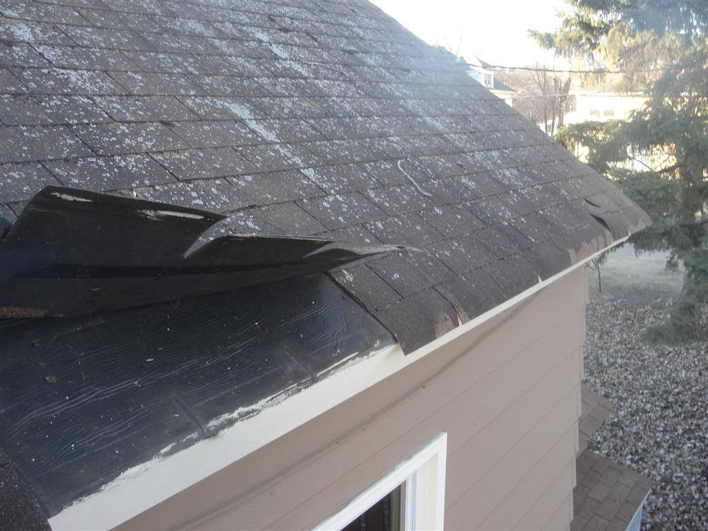 Bad Shingles Bad Shingles