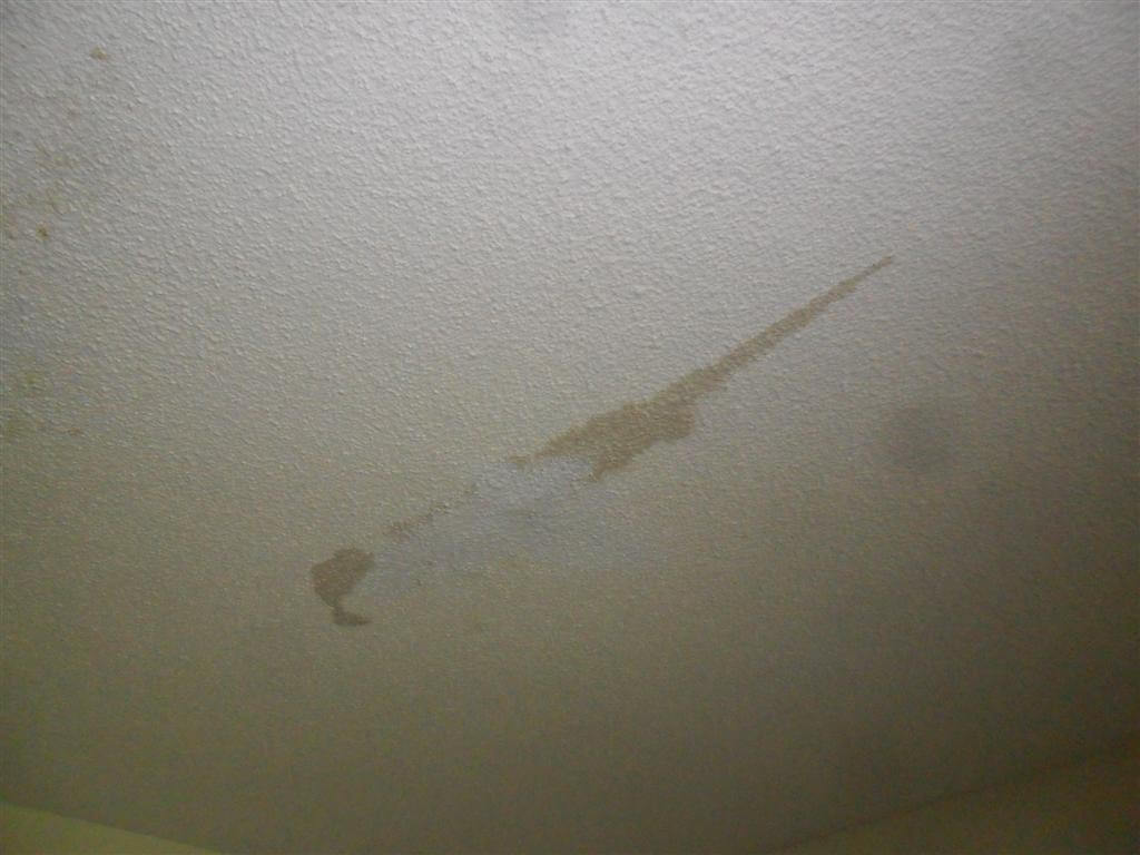 Ceiling stain from leaking shower Ceiling stain from leaking shower