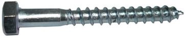 Lag Screw