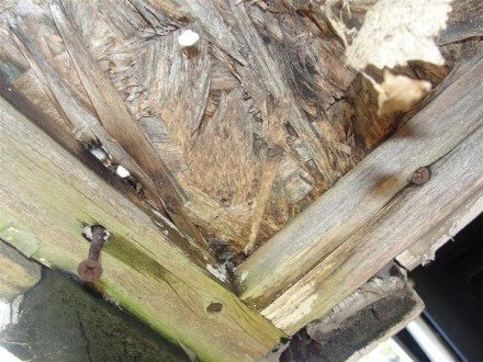 Severely rotted wood Severely rotted wood