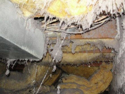 Disconnected dryer duct in crawl space