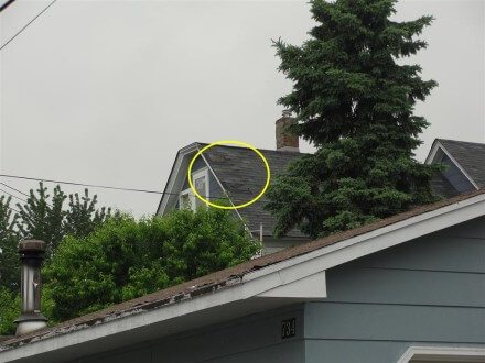 Damaged shingles