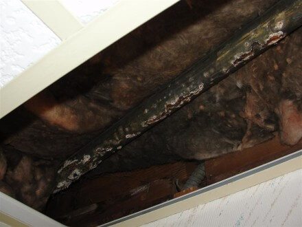 Rust holes in galvanized steel vent
