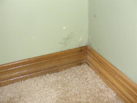 Stained baseboard trim