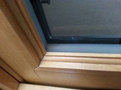 WS Wood Window with Foam Spacer