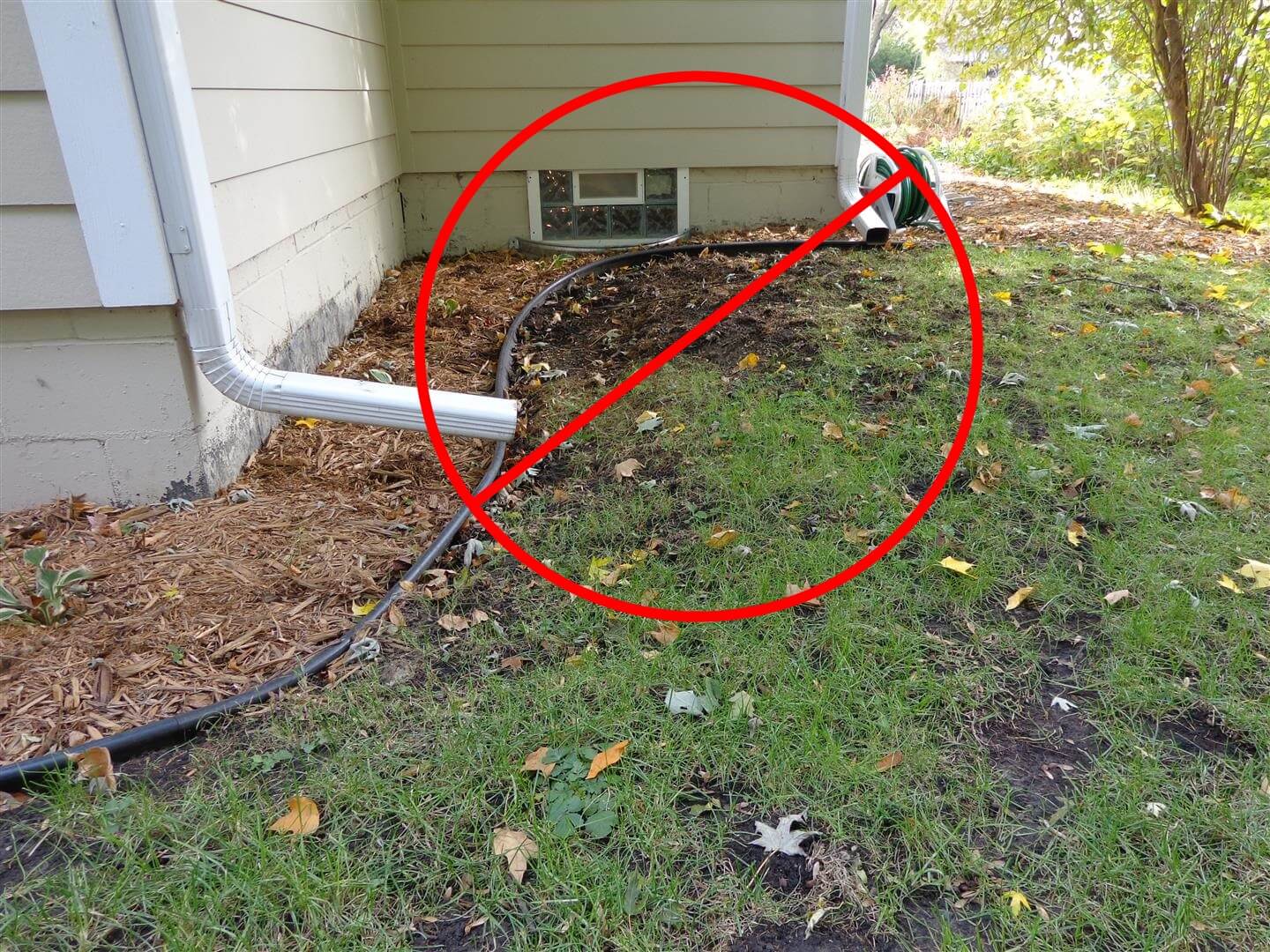 What are some companies marketing downspout extensions?