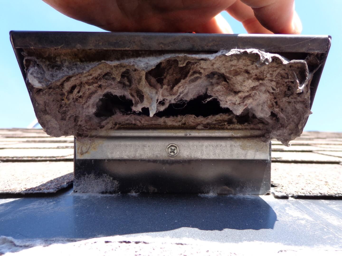 Bathroom Vent Through Roof My Web Value