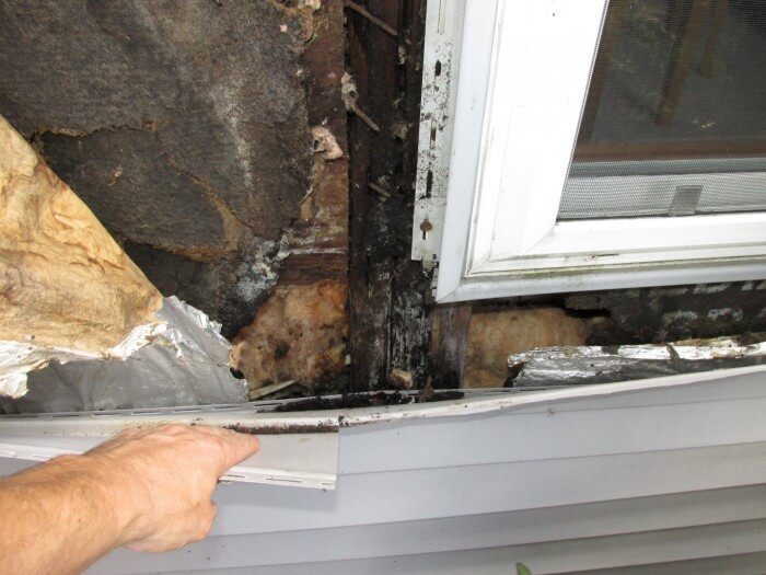 Water damage behind vinyl siding4