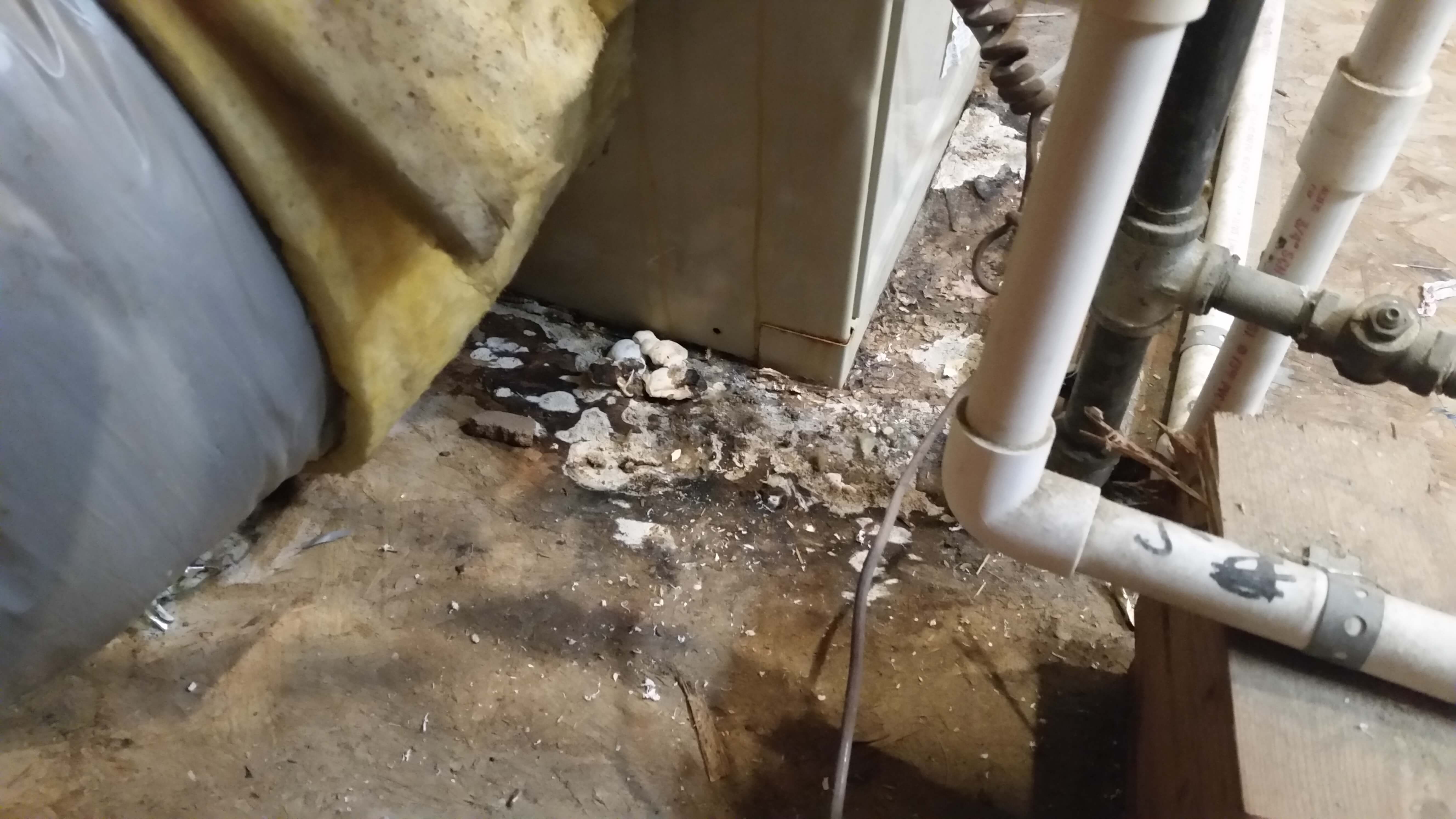 Air Conditioner In The Attic That Spells Leaks And A Big Mess