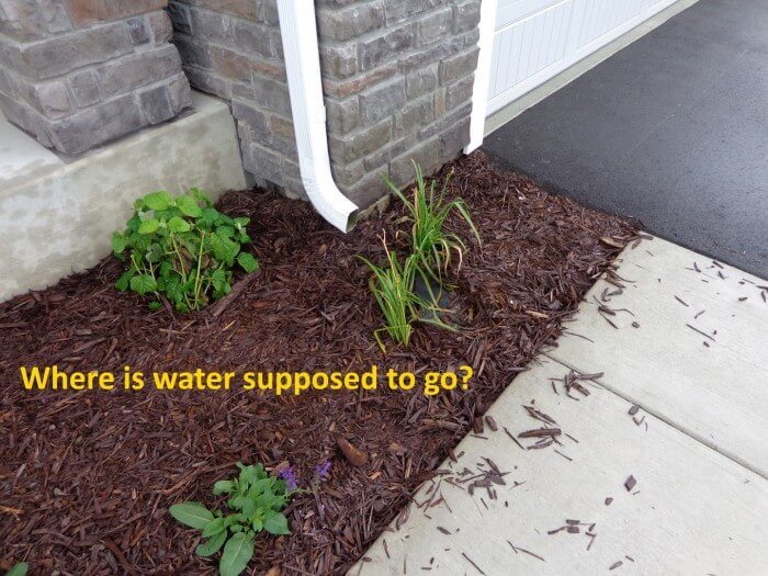 Exterior - poor water management