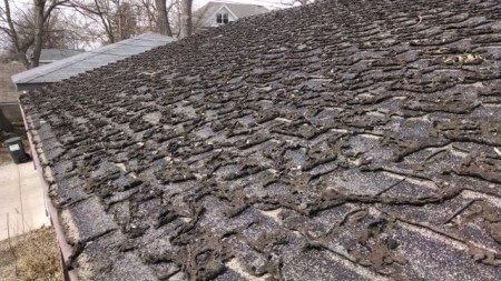 Deteriorated shingles