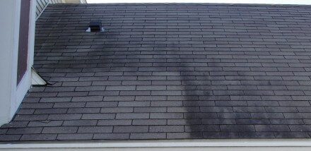 Removing Black Roof Stains - HomesMSP
