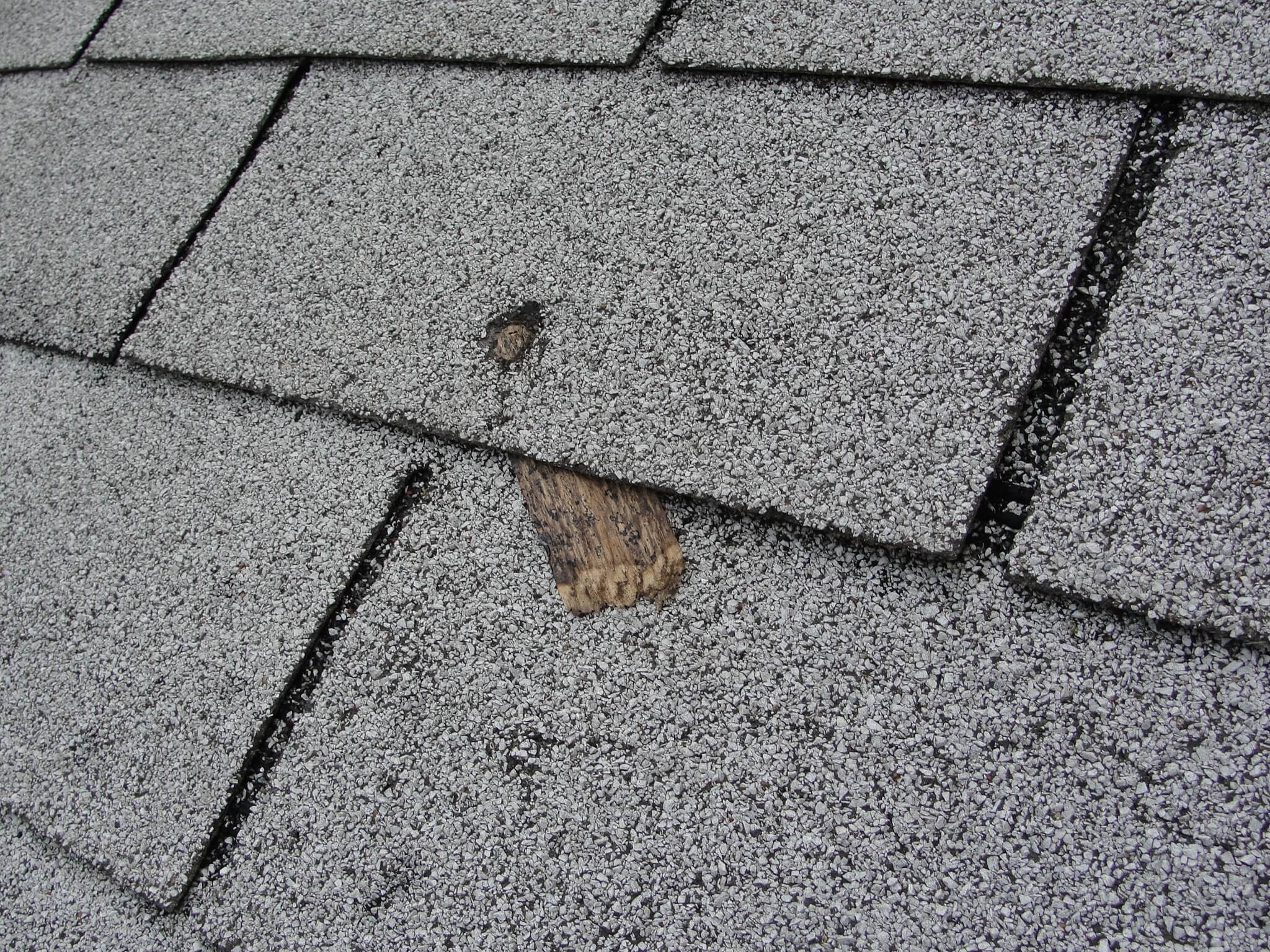 Image result for asphalt shingle problems