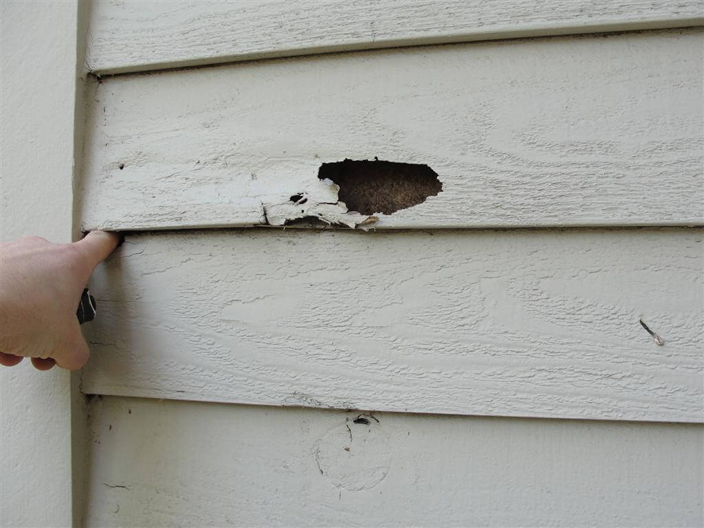 A homeowner inspecting cracked siding. 